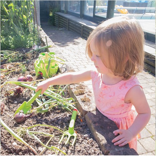 BigJigs Attrezzi da Giardino Verde - Set Giocattolo 3 pezzi per bambini-3