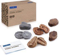 Guidecraft giocattolo educativo Magnetic Matching Fossil Stones - set di 6