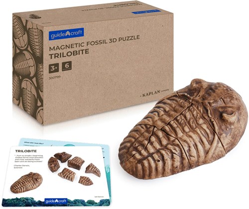 Guidecraft puzzle fossile magnetico 3D trilobite giocattolo