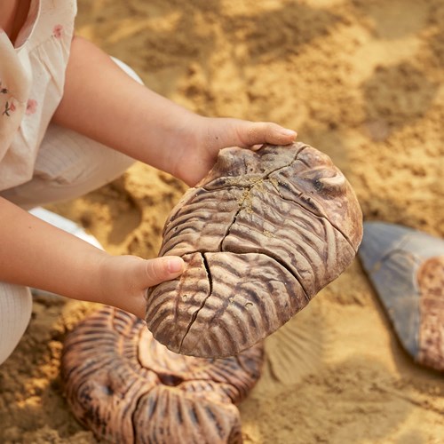 Guidecraft puzzle fossile magnetico 3D trilobite giocattolo-2