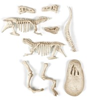 Clementoni giocattolo archeologia T-Rex fluorescente 7+ educativo-2