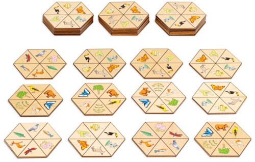 Eduplay giocattolo educativo Hexagon nature cartone multicolore