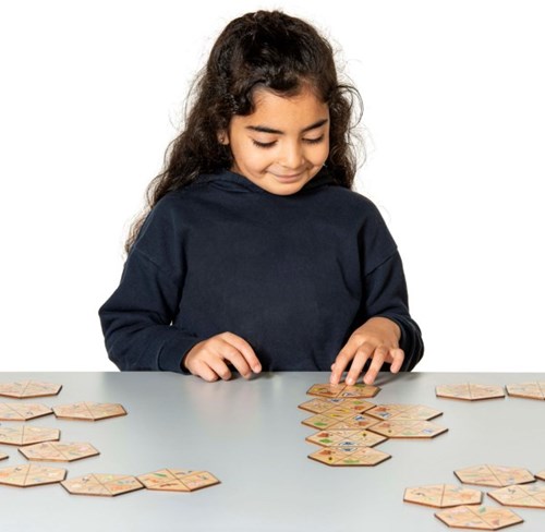 Eduplay giocattolo educativo Hexagon nature cartone multicolore-2