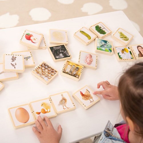 TickiT tessere in legno ciclo di vita giocattolo educativo natura