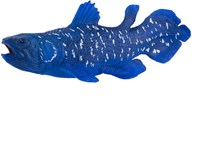 Mojo Sealife figura coelacanth blu PVC oceano