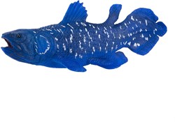 Mojo Sealife figura coelacanth blu PVC oceano