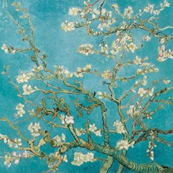 Ambiente tovaglioli decorazione tavola Almond Blossom 33x33cm 20 pezzi carta