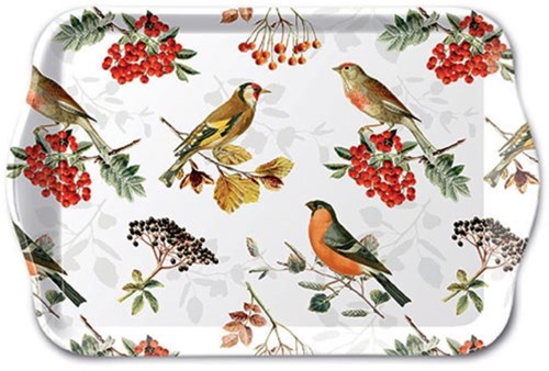 Ambiente vassoio uccelli autunnali 13x21cm vassoio decorativo