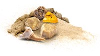 Kosmos scavo di fossili - giocattolo educativo per bambini-3