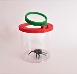 Eduplay scatola con lente d'ingrandimento - grande box insetti per bambini