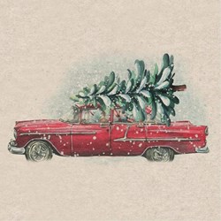 Duni tovaglioli albero di Natale auto 33cm decorazione tavola carta