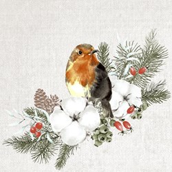 Duni tovaglioli Natale Robin Forest 24x24cm decorazione tavola festosa