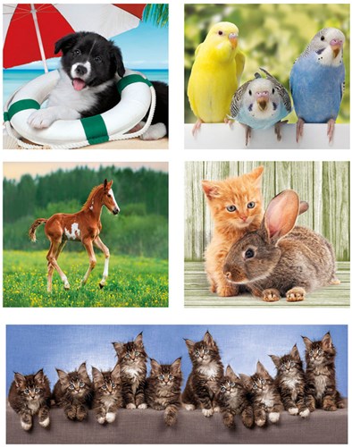 Clementoni puzzle animali 10-in-1 cartone gioco ecologico bambini-2