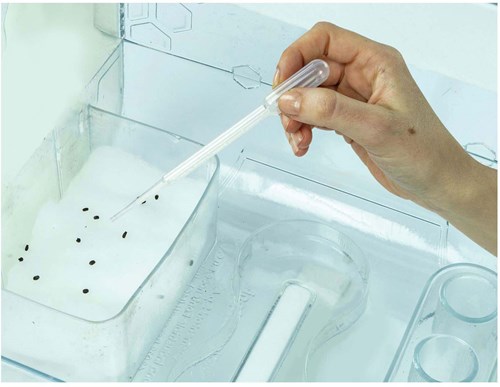 Clementoni Scienza Serra Hi-Tech Giocattolo STEM piante-3