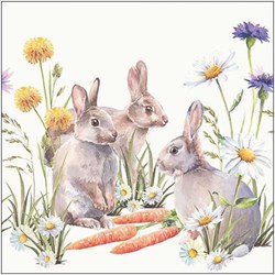 Ambiente tovaglioli di carta Carrot treat 33x33cm decorazione bianca