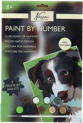 Dipingere con i numeri cane set pittura creativo per bambini