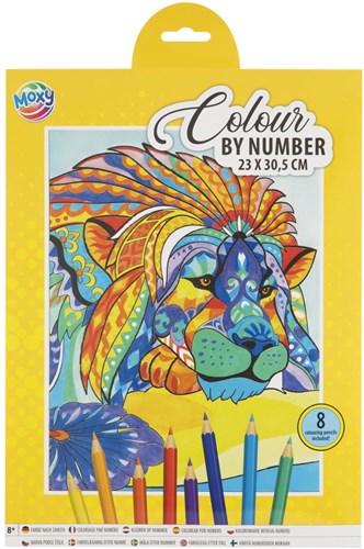 Colora per numero set animali 23x30,5cm con 8 matite colorate-2