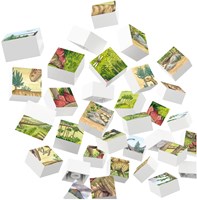 Hubelino puzzle blocchi mondo dinosauri 35 pezzi giocattolo bambini-3