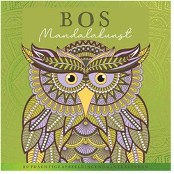 Lantaarn libro da colorare foresta arte mandala per adulti colorazione mindful