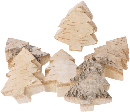Nature wood slices fir set of 6