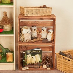 Cosy Crate Shelves - 31066