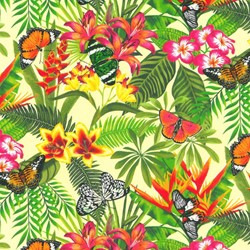 Design 807 esclusivo 50 cm x 200 m