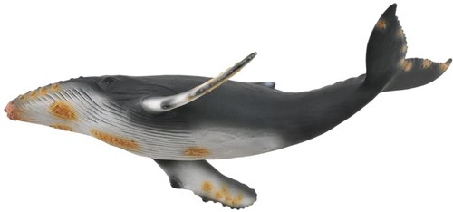COLLECTA Megattera - (XL)-3