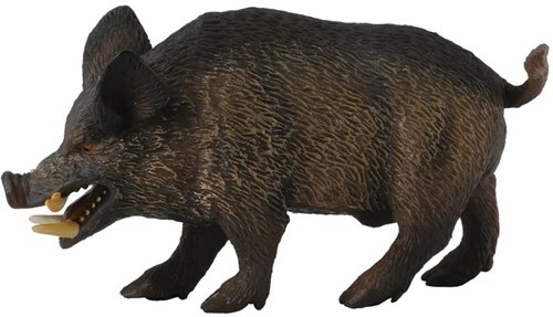 COLLECTA Cinghiale - (M)-2