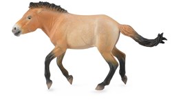 COLLECTA Stallone Przewalski - (XL)