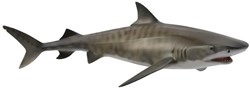 COLLECTA Tiger Shark - (L)