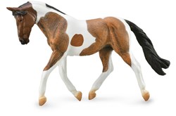 COLLECTA Pinto Mare Castagno - (XL)