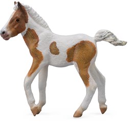 Collecta cavalli puledro Dartmoor Hill figura giocattolo - M - realistico