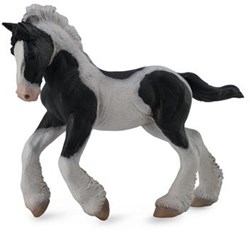 COLLECTA Tinker Foal Nero-Bianco - (M)