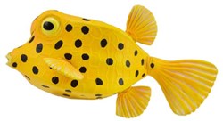 COLLECTA Pesce scatola giallo - (S)