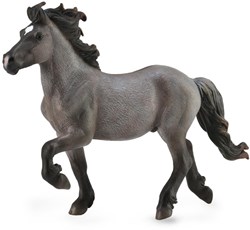 COLLECTA Stallone islandese Wild Color - (XL)