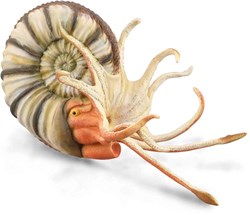 COLLECTA Pleuroceras Ammonite - (XL)