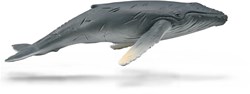 COLLECTA Vitello di balena megattera - (M)