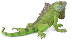 COLLECTA Iguana verde - (XL)