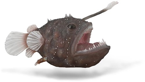 COLLECTA Rana pescatrice - (XL)