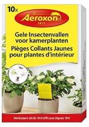 Aeroxon Insectenvallen voor kamerplanten