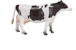 Mojo Giocattolo della fattoria Mucca Holstein - 387062