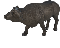 Mojo Wildlife speelgoed Kaapse Buffel - 387111