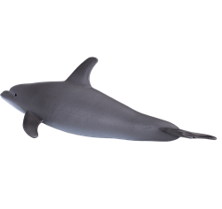 Mojo Giocattolo Sealife Delfino dal Naso Bottlenose - 387118