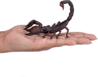 Mojo Giocattolo della fauna selvatica Scorpione Imperatore - 387133-3
