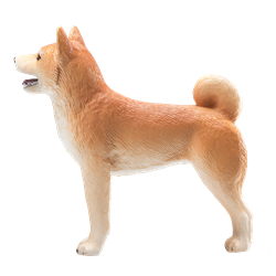 Planet Happy - Merk Mojo Pets