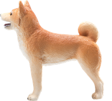 Planet Happy - Merk Mojo Pets