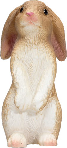 Mojo Pets - Rabbit Sitting  387141