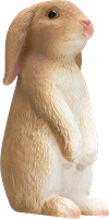 Mojo Pets - Rabbit Sitting  387141