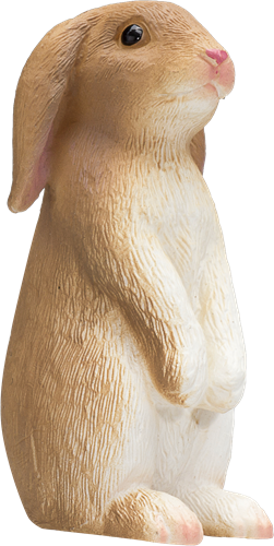 Mojo Pets - Rabbit Sitting  387141