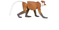 Mojo Giocattolo della fauna selvatica Proboscis Monkey - 387176-2